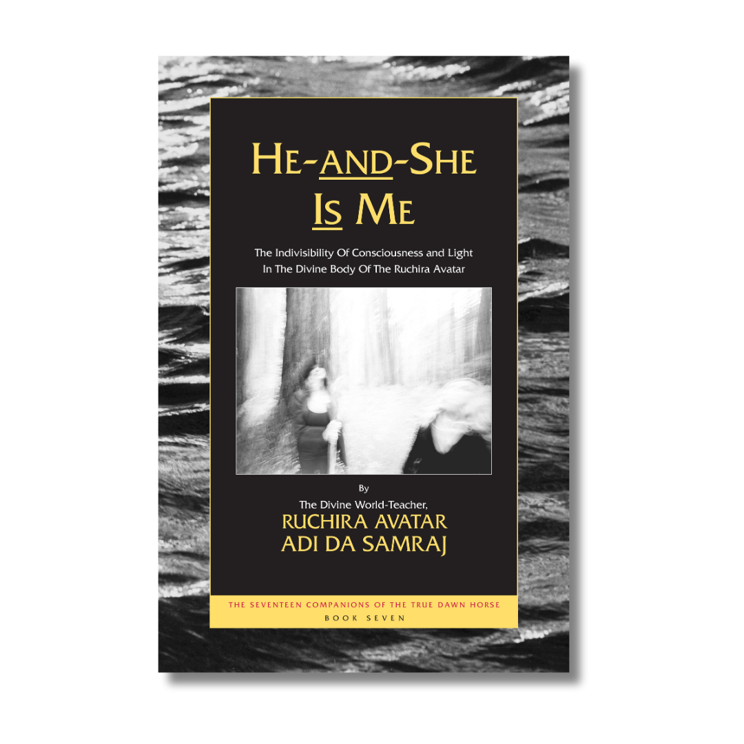 He and She Is Me book seven