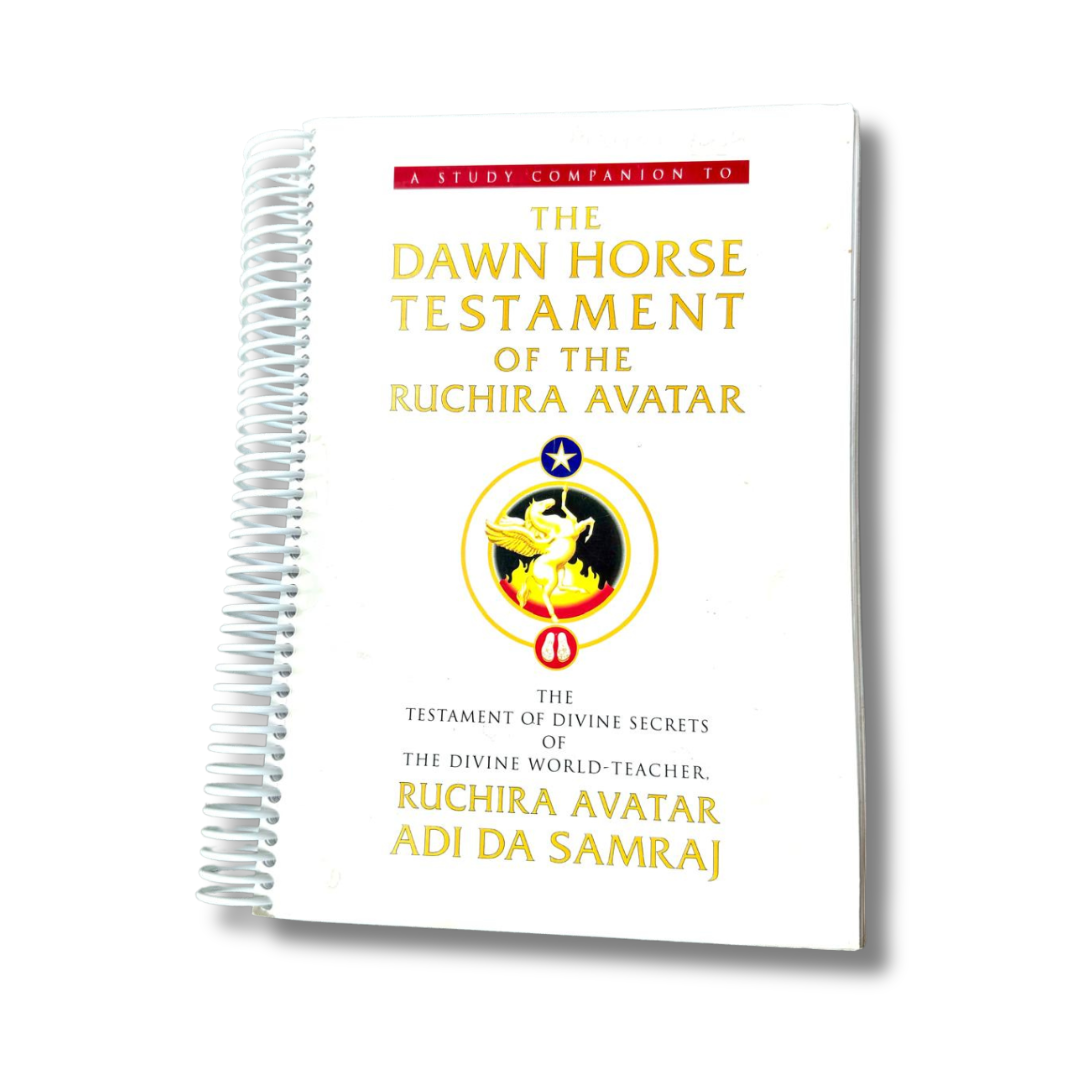 Study Companion to The Dawn Horse Testament (2004, 440 pages)