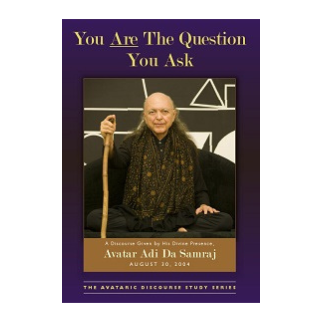 You Are The Question You Ask (DVD)