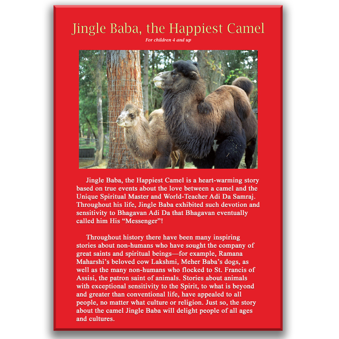 Jingle Baba, the Happiest Camel