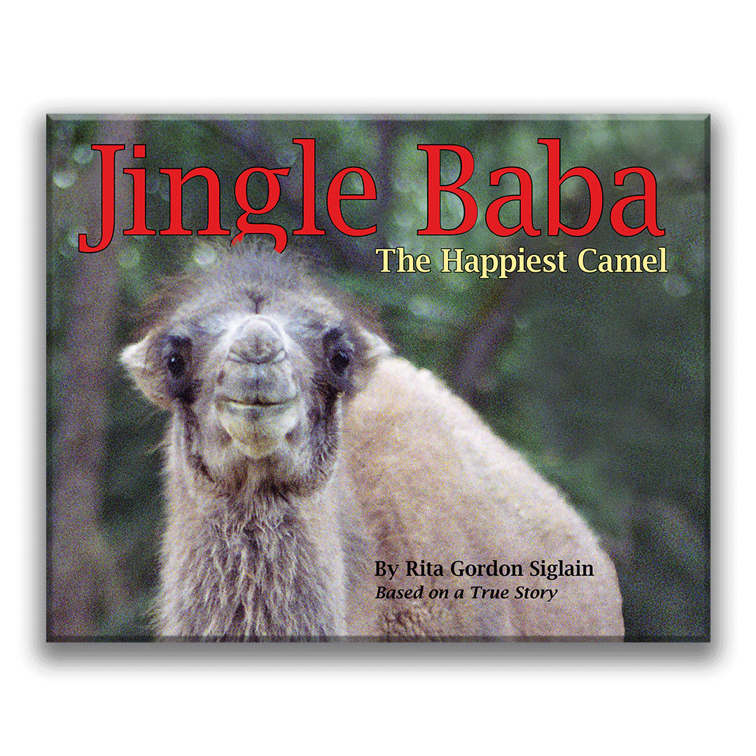 Jingle Baba, the Happiest Camel