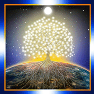 Tree of Light Greeting Cards